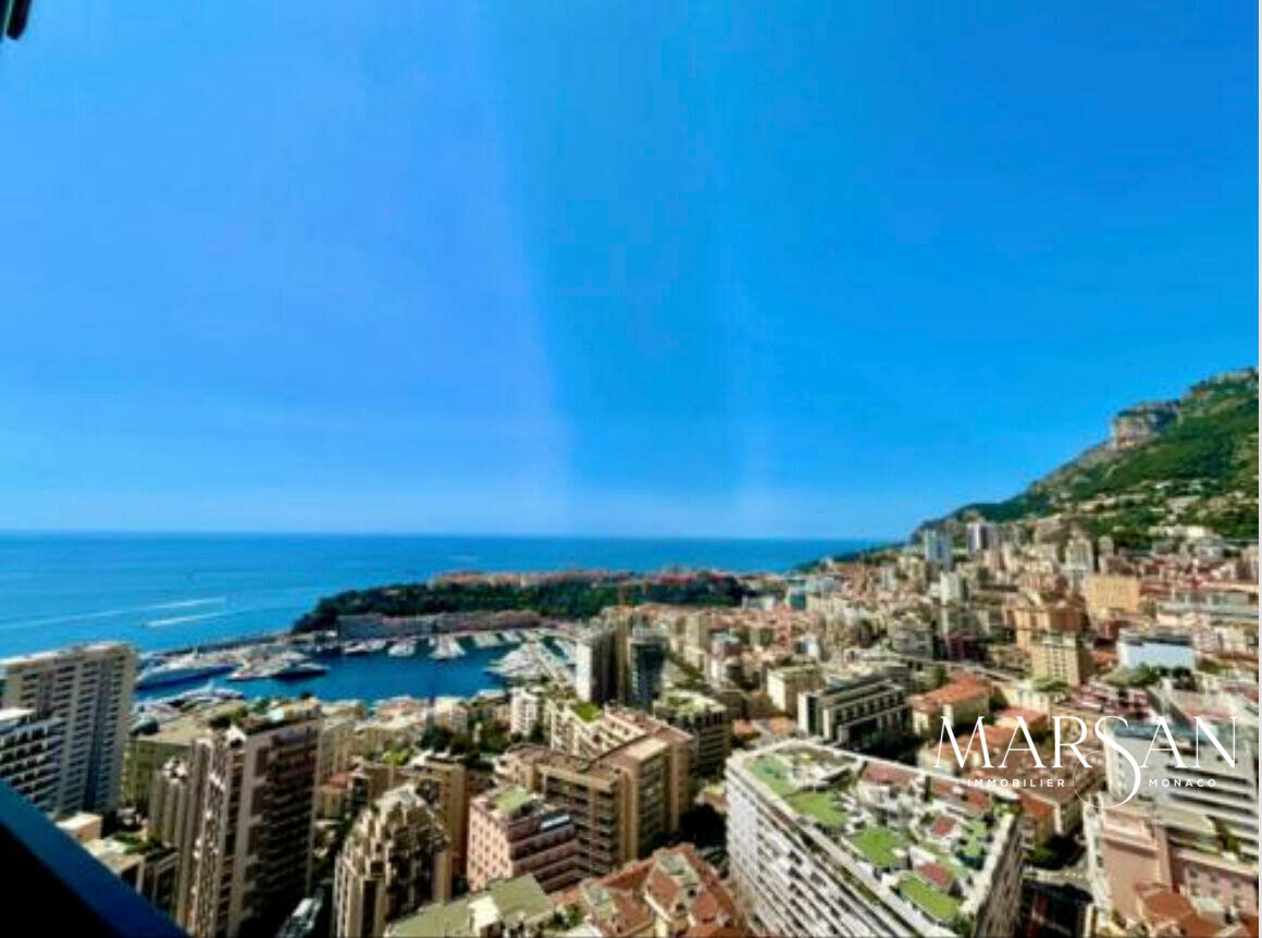 Magnifique appartement au Millefiori rénové