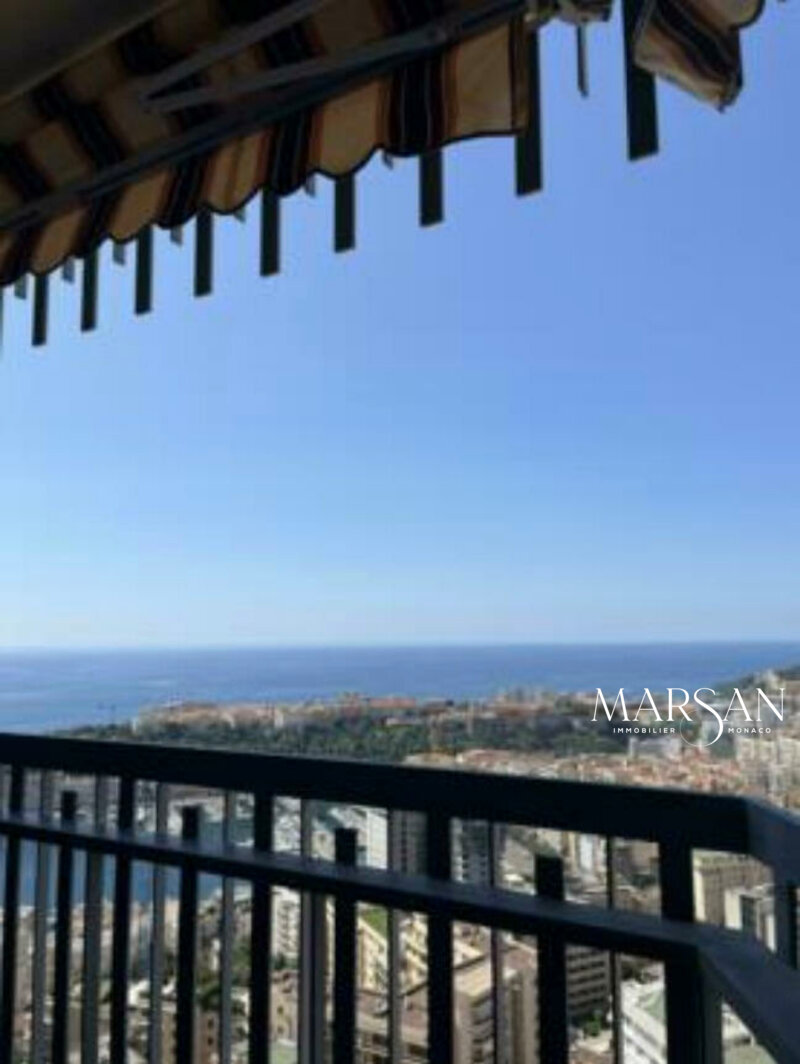 Magnifique appartement au Millefiori rénové