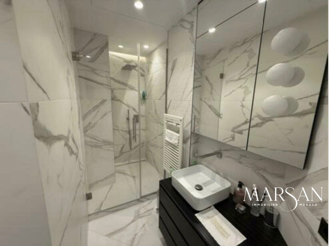 Magnifique appartement au Millefiori rénové