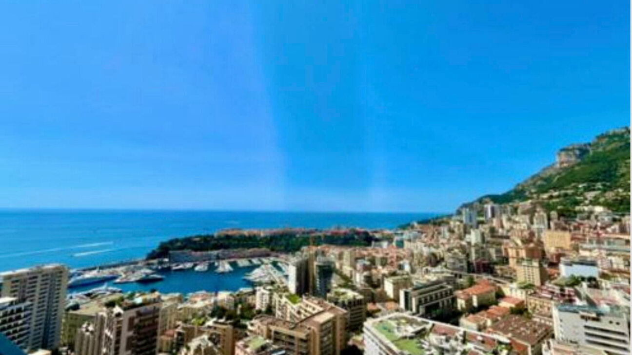 Magnifique appartement au Millefiori rénové