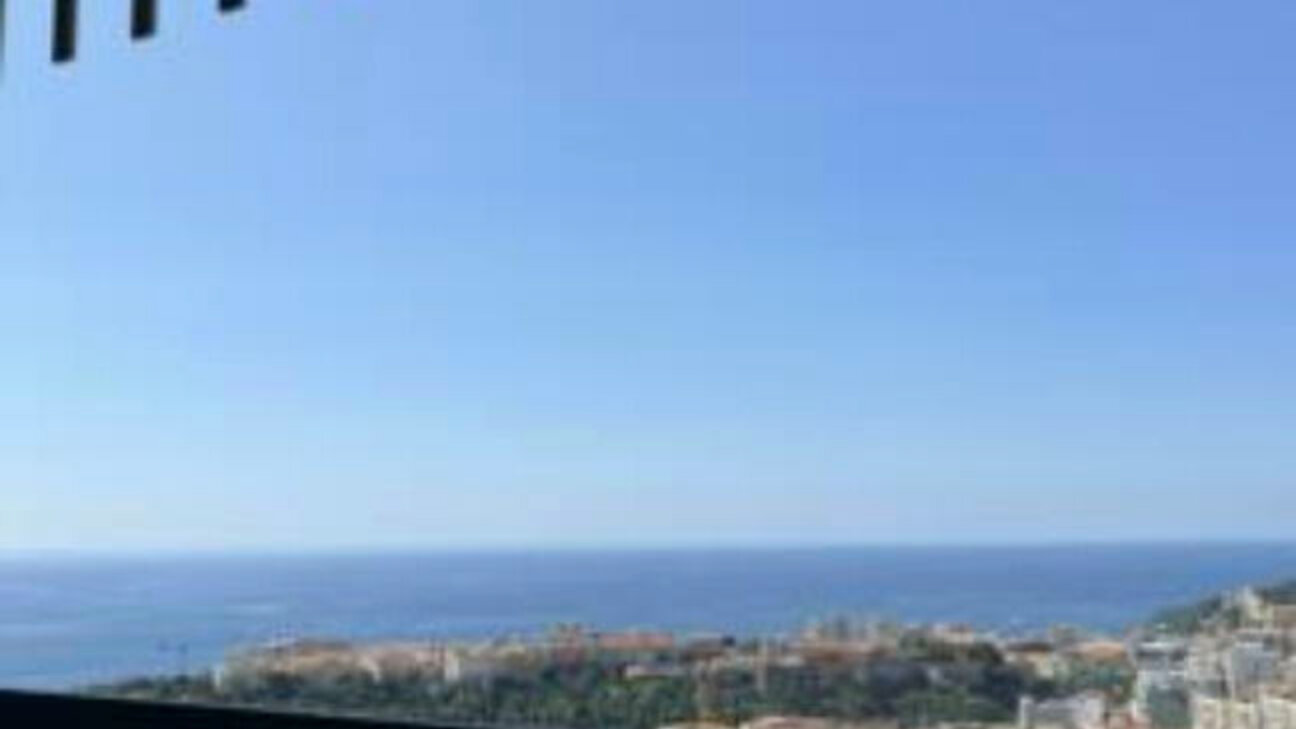 Magnifique appartement au Millefiori rénové